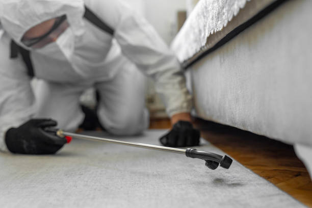 Professional Termite Control technician working in Williamsburg, PA